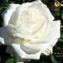 نواره السبيعي (@001122Mrmr) Twitter
