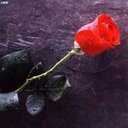 Ghada Khatib - @gkhatib69 - Twitter