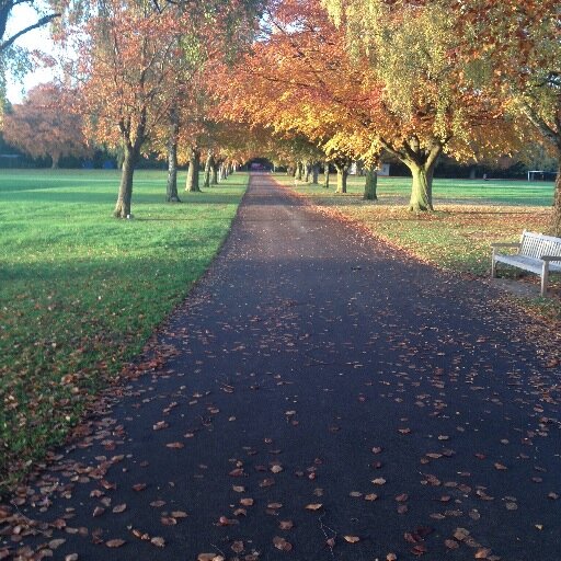 Benh75's profile picture. 