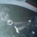 fausto salgado - @tutoasekas - Twitter