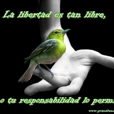 parnet_aptypo's profile picture. 