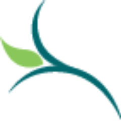 abundancemvment's profile picture. The Energy Alchemist