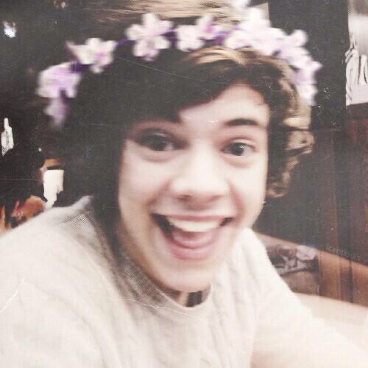 @gypsieharry