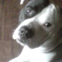 Jerri Davis - @jldracoon - Twitter