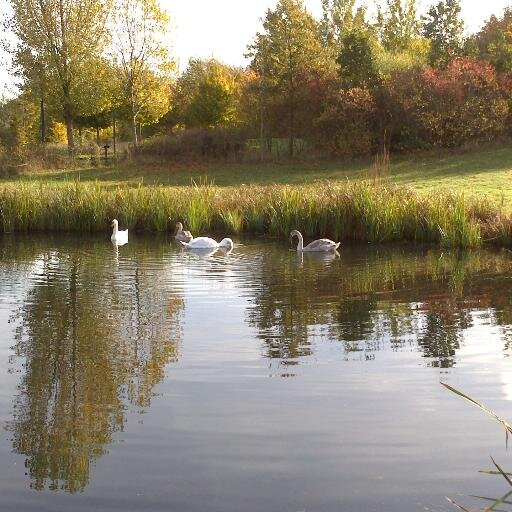 LUFLondon's profile picture. LUFLondon is proposed as a knowledge exchange network of London based institutions to discuss causes and consequences of land use change