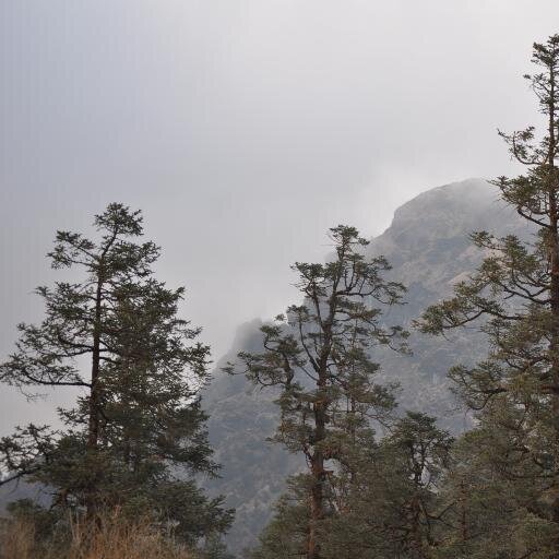 JeevanKhadka's profile picture. 