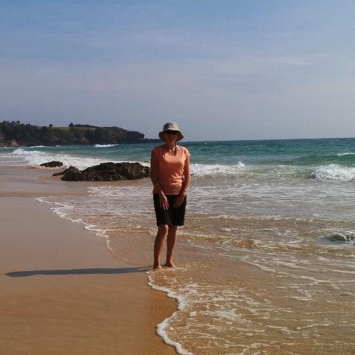 Cathy Manning Profile