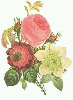 Set_The_Table's profile picture. From a tea party for two ... to a wedding I do!