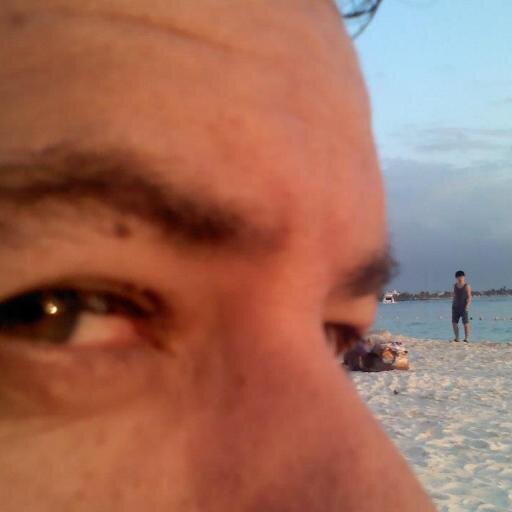 Profesor de Inglés /  Amante de la Naturaleza / Humanista / Estudiante de Idiomas y de Literatura / Melómano y Cinéfilo Empedernido / Sibarita automesurado /