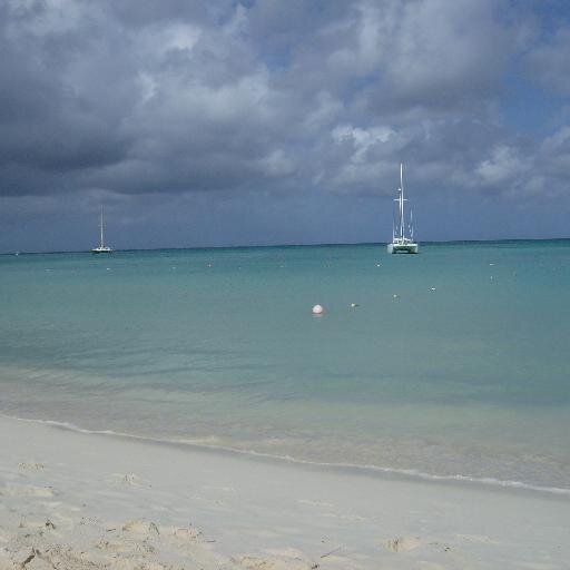 dayi86's profile picture. 