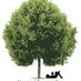 Linwood Community Library (@linwoodkslib) Twitter profile photo Linwood Community Library (@linwoodkslib) Twitter profile photo