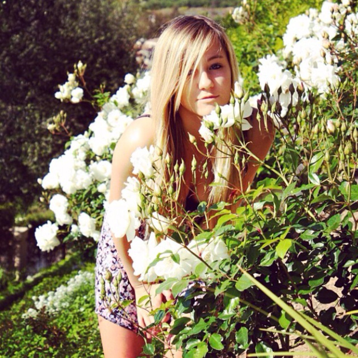 Bailey Clark | 15. | Bisexual | Skateboarding | Taken By @JackHallHA | BigBro: @JustinClarkHa |