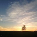 Eli Nelson - @elinelson15 - Twitter