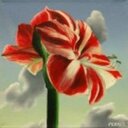 ruth case - @ruthcase21 - Twitter