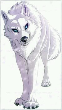 I'm the wolf with no name and no family #female I like being alone!