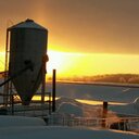 Tammy Doty - @rtdoty - Twitter