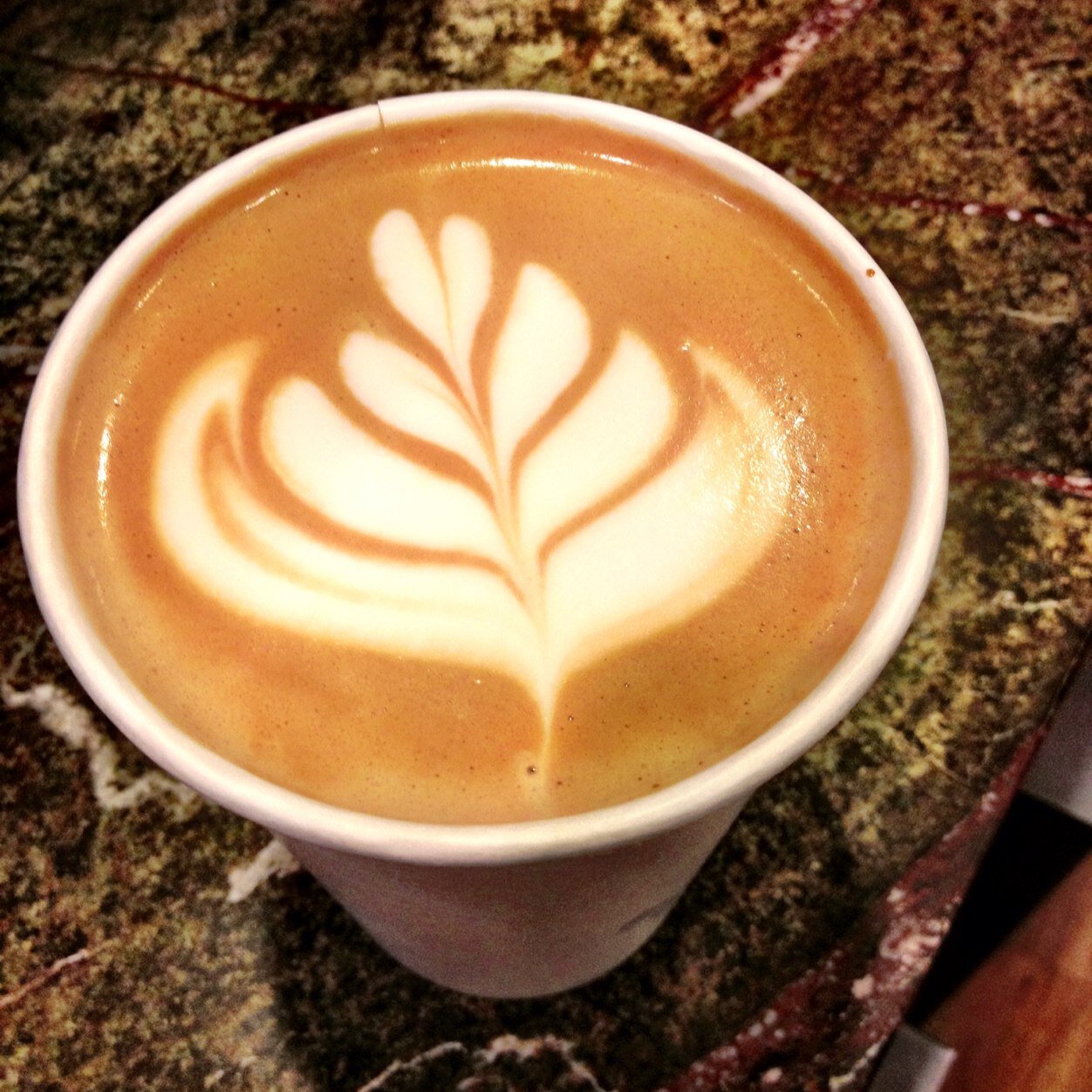 Roasting and serving great coffee in the Mount Washington Valley.