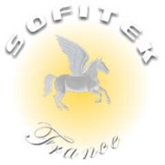 SOFITEK est un expert en création de sites web B2B, développement, hébergement, vidéo/audio conférences, 3D implantation