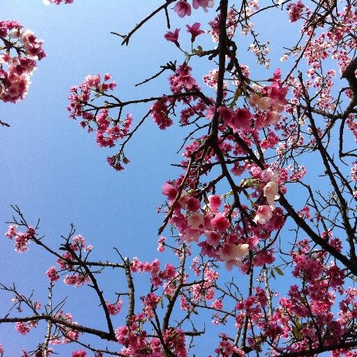 Luminous and wired