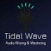 Tidal Wave Audio (@tidalwaveaudio) Twitter profile photo Tidal Wave Audio (@tidalwaveaudio) Twitter profile photo