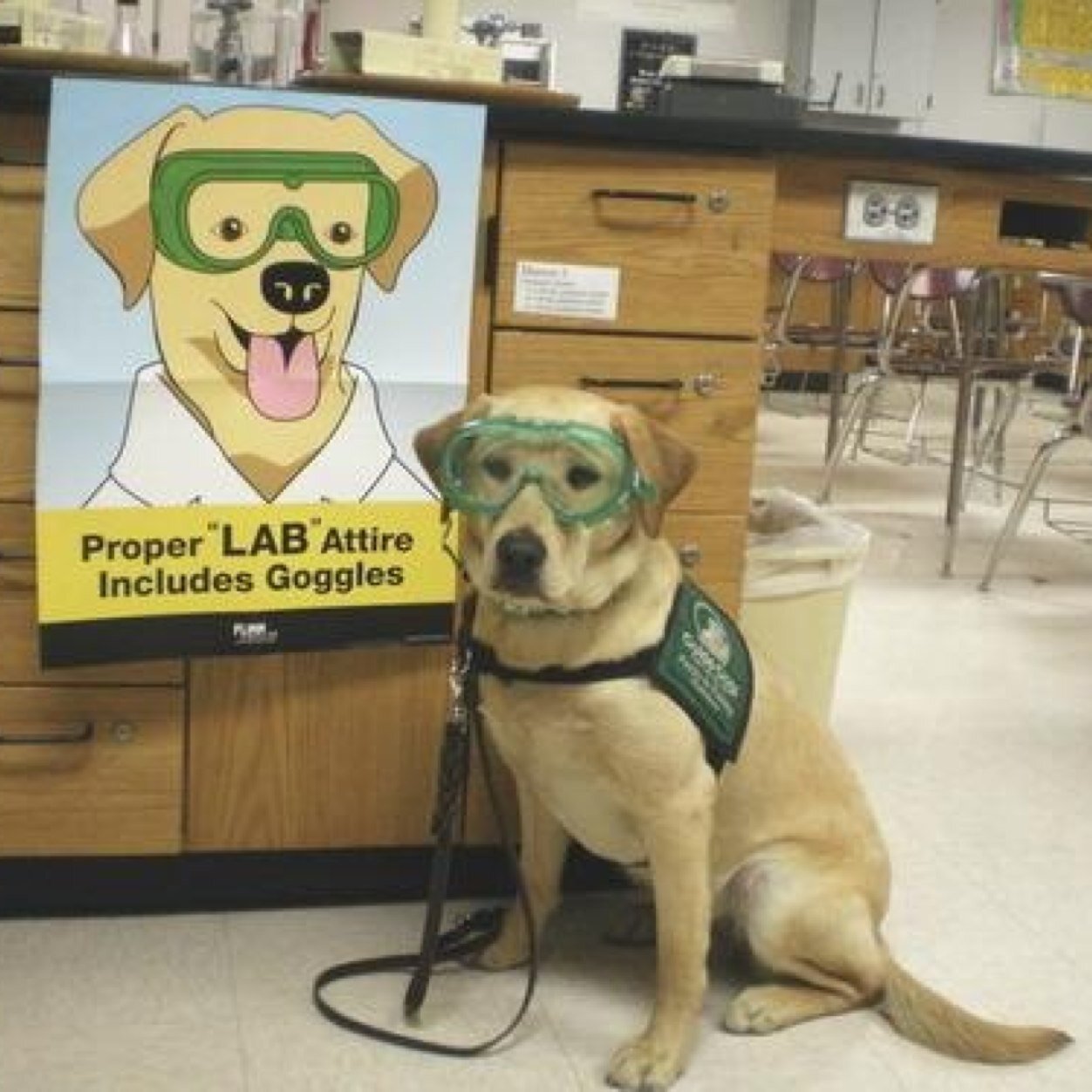 amillerscience's profile picture. Science teacher