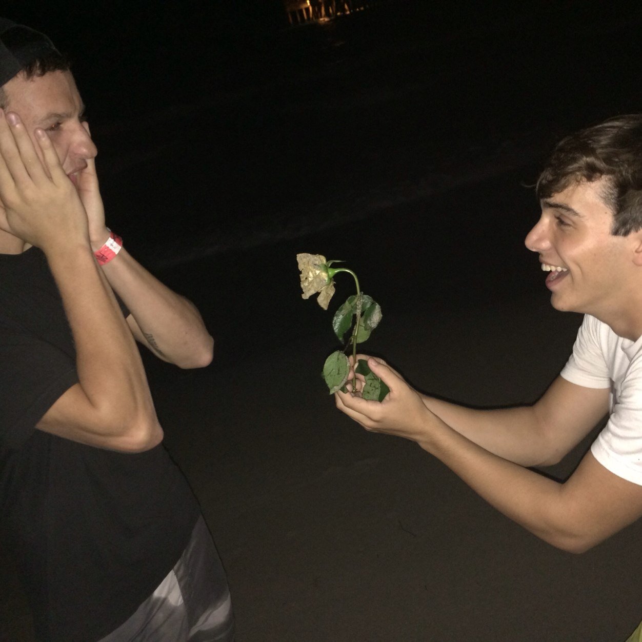 captain_wlod's profile picture. 