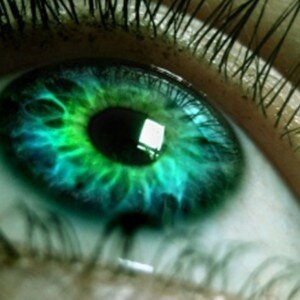 SaigeFowl's profile picture. account from when i went through a phase. other things now.