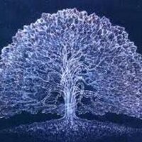 nedimhancilar (@ndmhnclr) Twitter profile photo