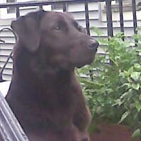 Madtechie (@madtechie68) 's Twitter Profile