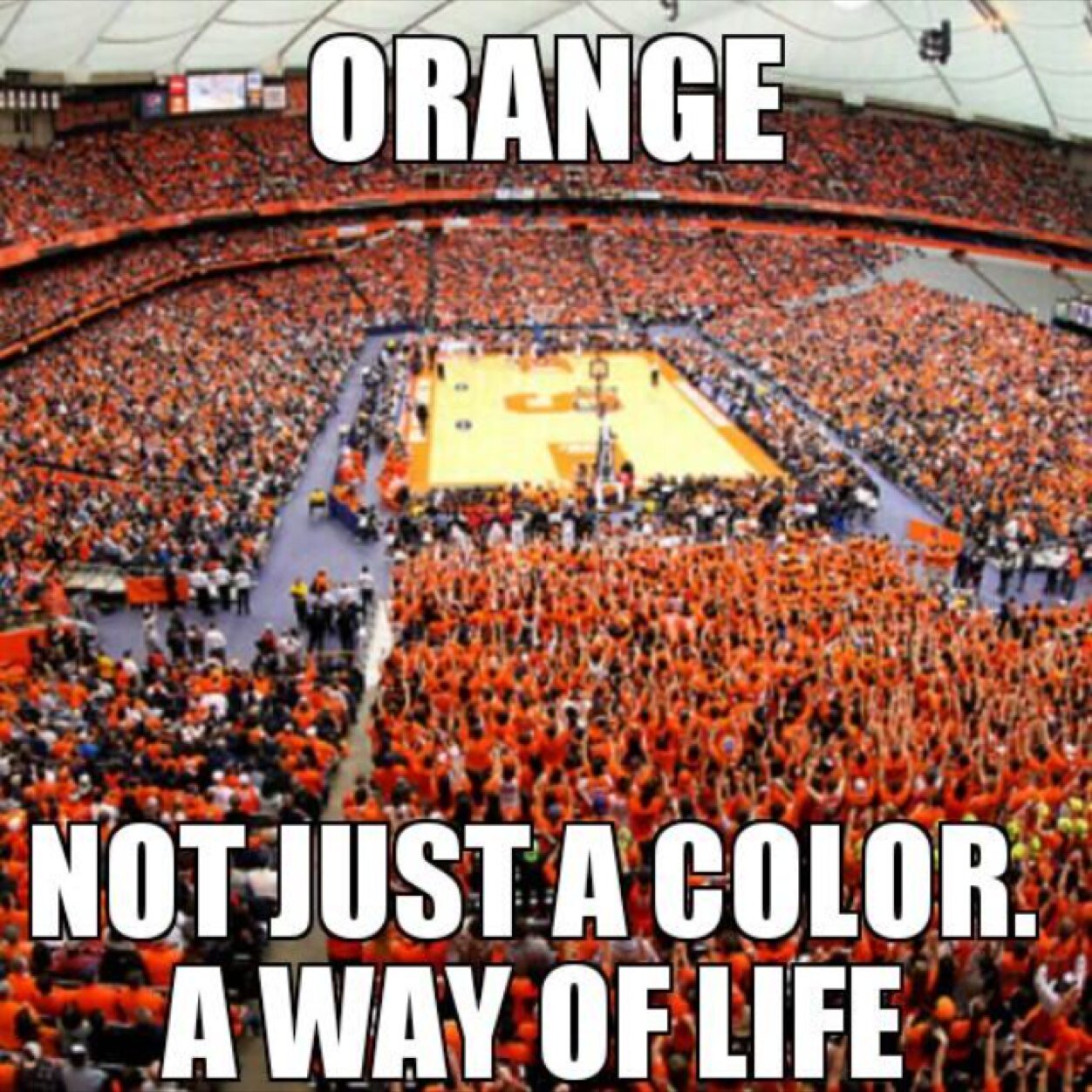 BLEED ORANGE