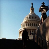 Gina Orlando (@tweetsbygee) 's Twitter Profile