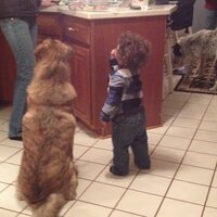 shireen rahman (@une6aes) 's Twitter Profile