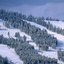 Ben Auerbach - @AuerbachBen - Twitter