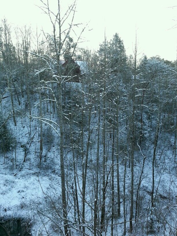 DancyRoss's profile picture. I ain't the kind you take home to mama I ain't the kind to wear no ring Somehow I always get stronger When I'm on my second drink