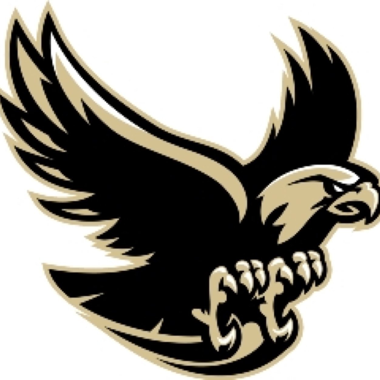 Eldo Hawks Profile