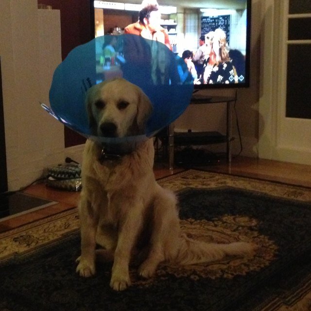 maddsoi's profile picture. 