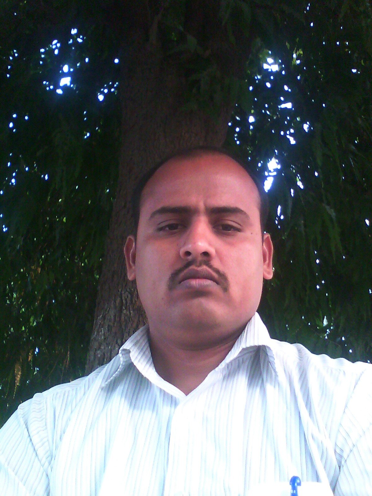 Project Leader at Logica...
