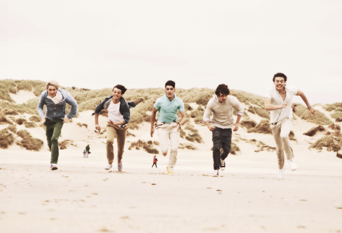 diyproject1's profile picture. be creative and love One Direction!