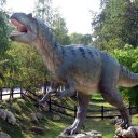 Bernard Chee - @BernardChee1 - Twitter