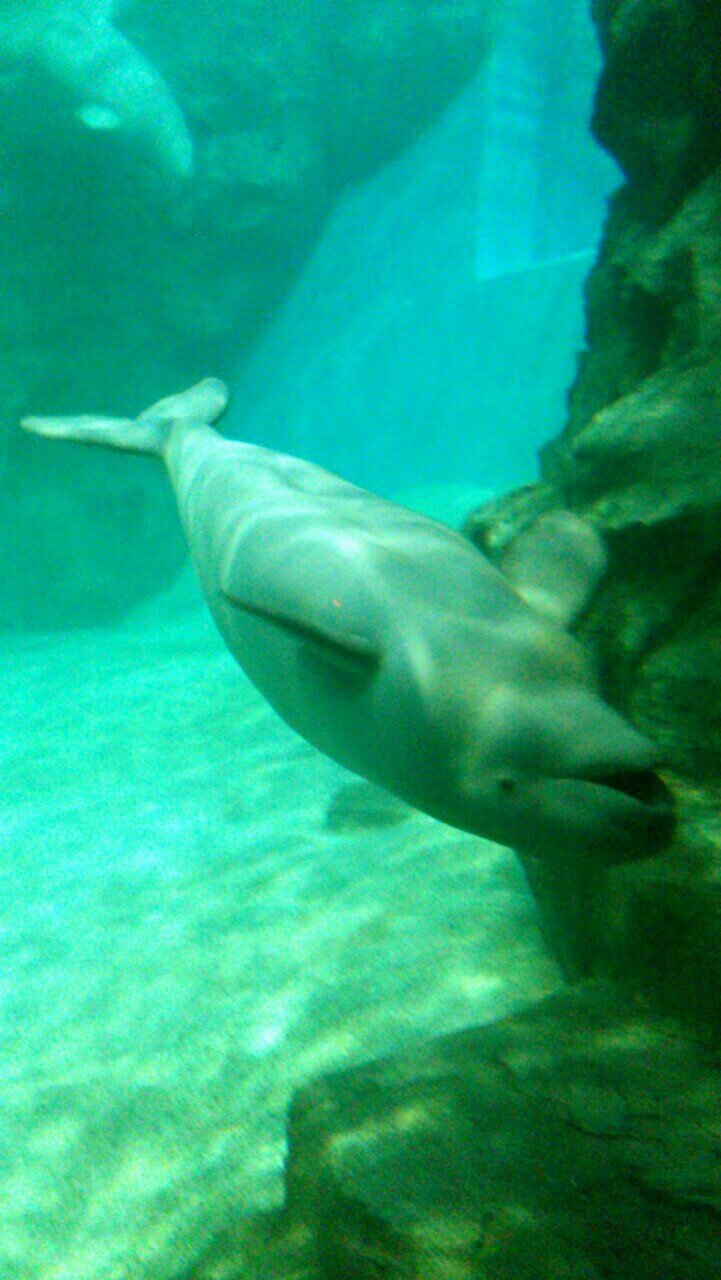 pipette0_0's profile picture. 洋画や本の感想や雑記を (♡˙︶˙♡)