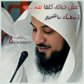 الدلم