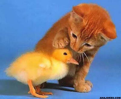 Sometimes being nice can be hard. It's OK. I can help, if you want.