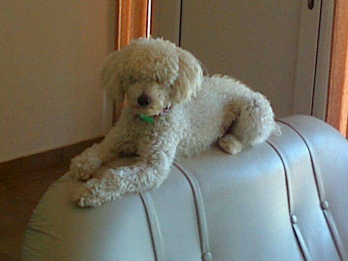 benjamin te amo