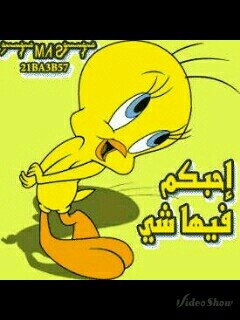 فتاه جامعيه تحب الجميع بسيطه حياتها ..تابعني اتابعك..