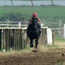 Pam Rice - @bpriceracing - Twitter