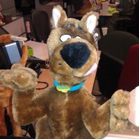 Mike Tougeron (@mtougeron) 's Twitter Profile Photo