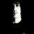 iamrevolution's profile image