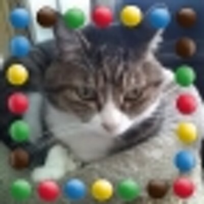 Setsuko Namiki 生活の中の英語表現 Rainbow 虹 Rain 雨 Bow 弓 雨の後にできる弓の形 って言葉なのね No Rain No Rainbow はハワイのことわざ 雨が降らなければ虹は見られない 苦労しなければいいこともない って意味だとか Eigo Setsuko Namiki 生活の中の英語表現 Rainbow 虹 Rain 雨 Bow 弓 雨の後にできる弓の形 って言葉なのね No Rain No Rainbow はハワイのことわざ 雨が降らなければ虹は見られない 苦労しなければいいこともない って意味だとか Eigo