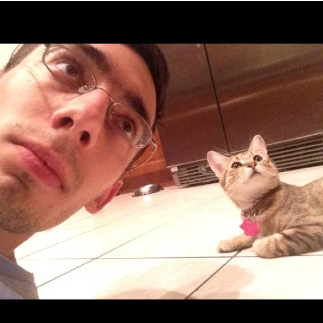 Walted11's profile picture. my car, cats, and Vw's. taken by a very special girly.