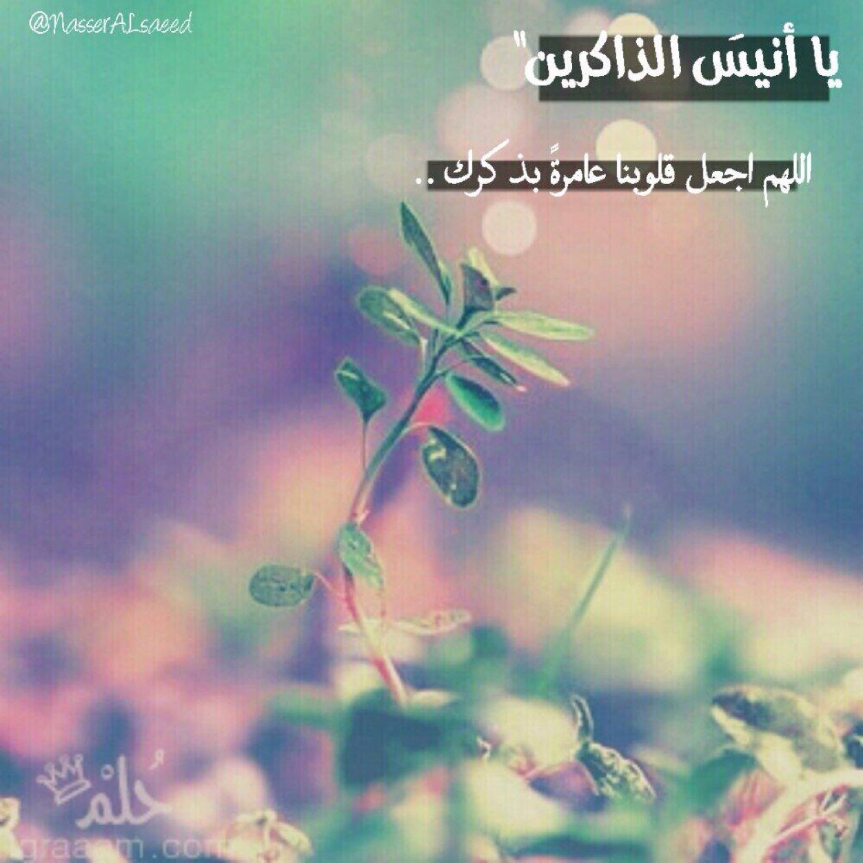 احبببتها فجعلت هذا الحساب صدقه جاريه لها ريم